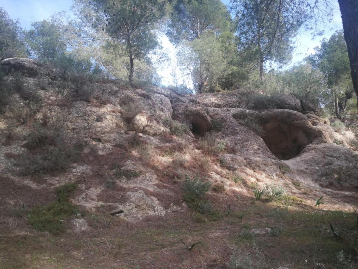 Alojamiento Rural El Paraiso Del Chorro Exteriör bild